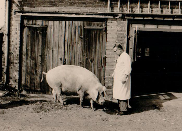 Historisches: Die Firmengeschichte unseres Fleischereibetriebs